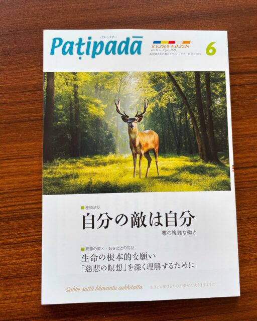 マーヤーデーヴィー Mayadevi ヴィパッサナー瞑想 瞑想会 冥想会 テーラワーダ 初期仏教 関西