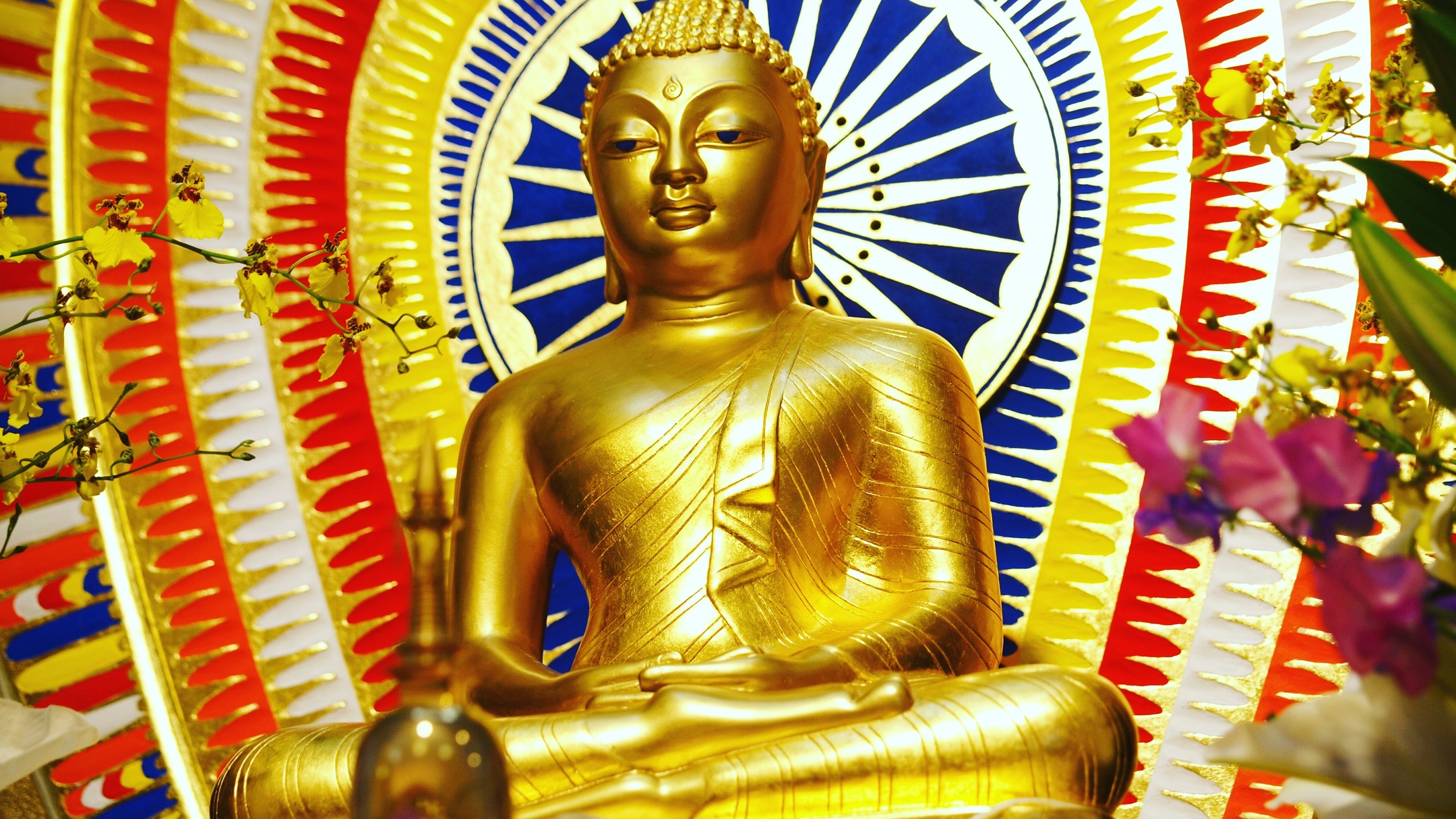 案内｜兵庫 2月15日（日）午前9時30分「関西瞑想会」マーヤーデーヴィー精舎 ※初めての方へ瞑想指導あり
https://mayadevi.j-theravada.com/20260215-kansai-meditation/

ヤサ長老指導の瞑想会。午前は法話＆質疑応答があり、昼休憩を挟み、午後からは初めての方への瞑想指導もございます。予約不要でどなたでも参加していただけます。

慈悲の瞑想の実践と、ヴィパッサナー瞑想という気づき・実況中継による自己観察の訓練で心を育てるということがどういうことなのか体験してみませんか。ご参加、お待ちしております。

生きとし生けるものが幸せでありますように
#jtba #仏教 #瞑想 #関西