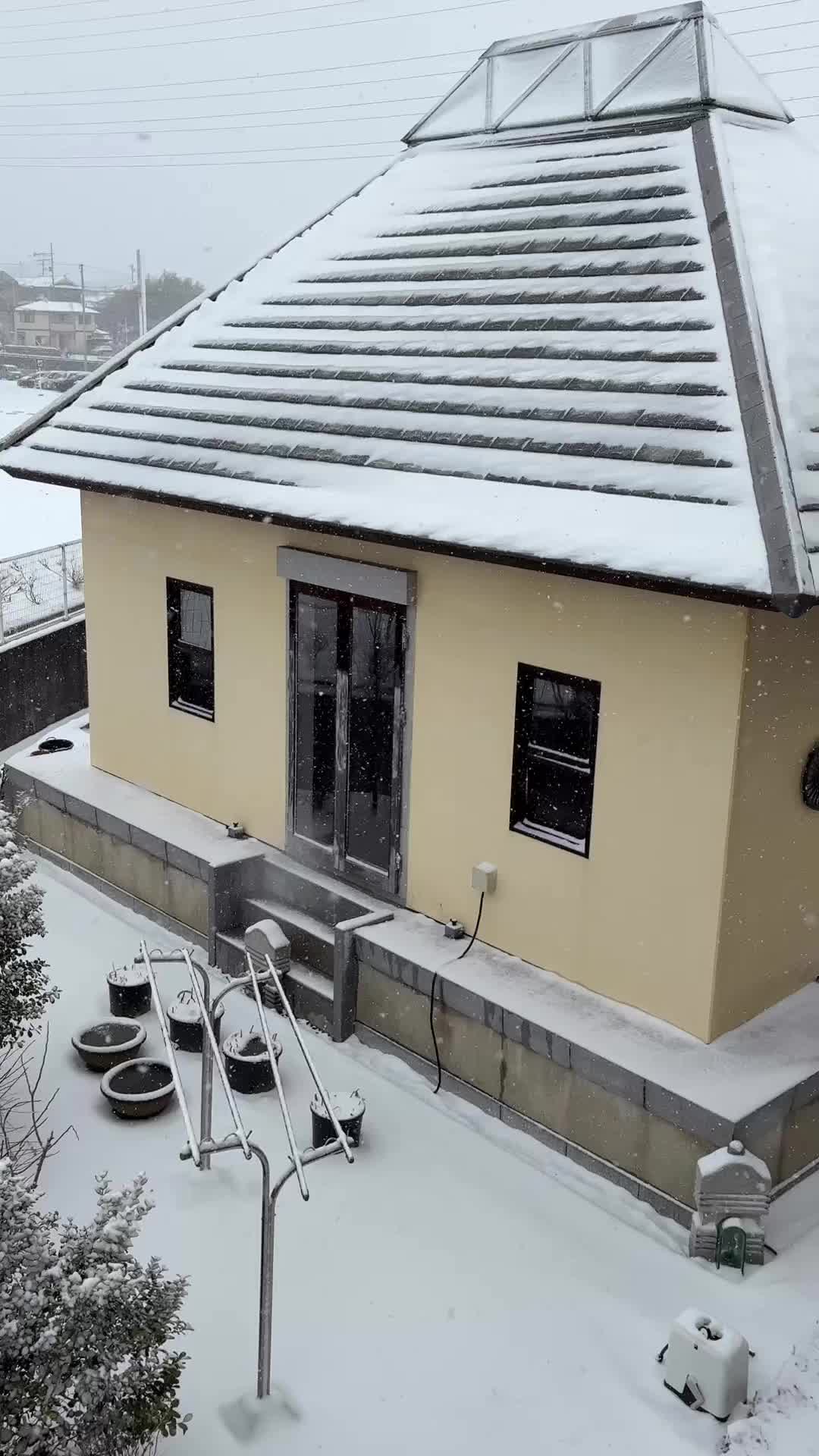 雪が降っています❄️ 

 #jtba  #マーヤーデーヴィー精舎　 #雪