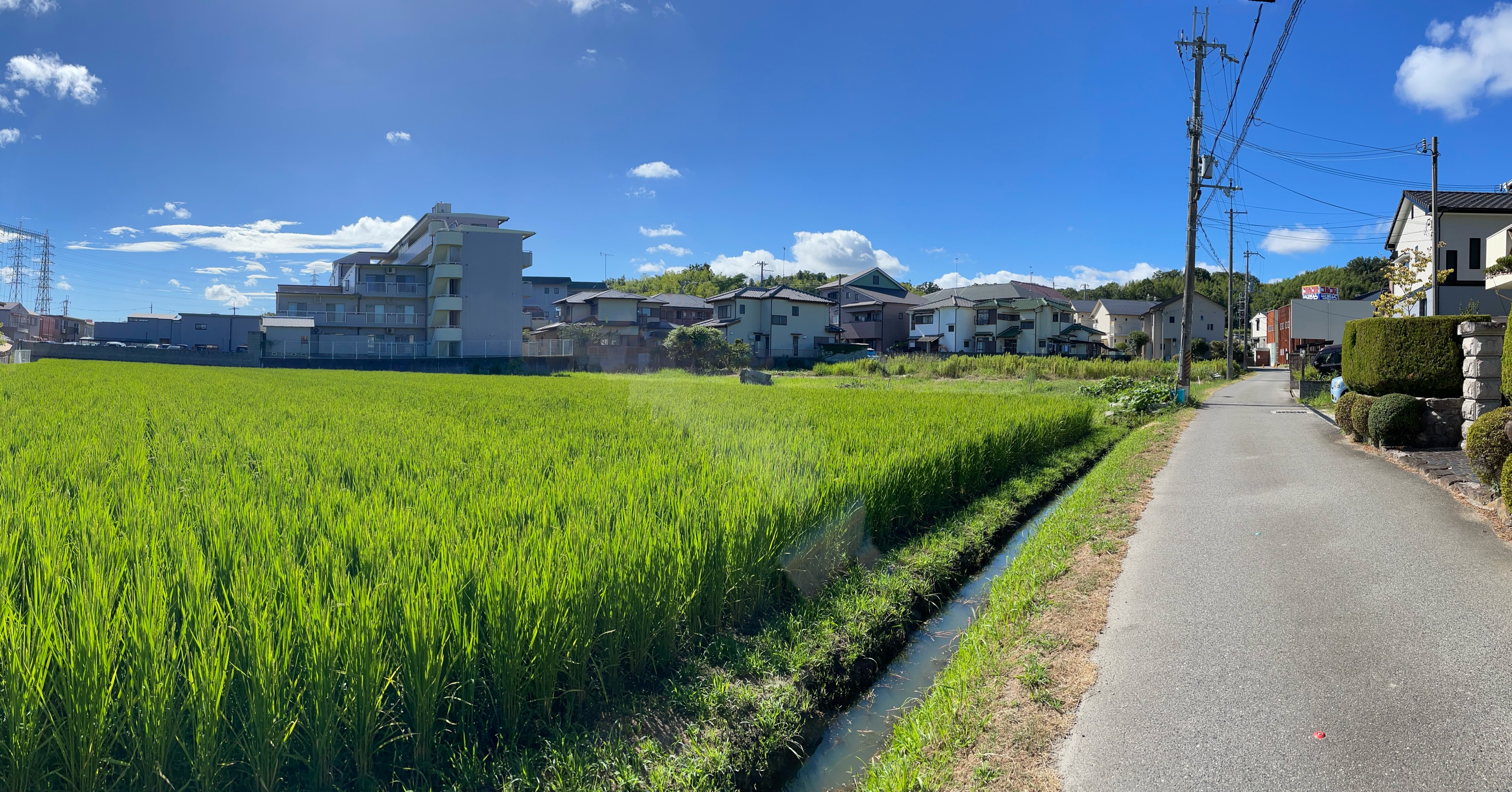 精舎日記

今日8/7（金）は立秋です。
まだまだ暑い日が続きますが

精舎前の田んぼ、稲🌾に実が成っています。

生きとし生けるものが
幸せでありますように
#jtba #仏教 #夏 #秋