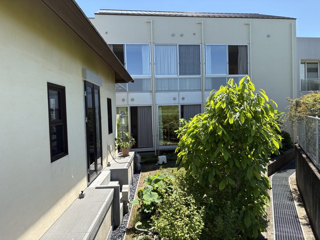 Courtyard of a modern apartment building with glass doors, beige walls, and a lush green tree in the foreground.